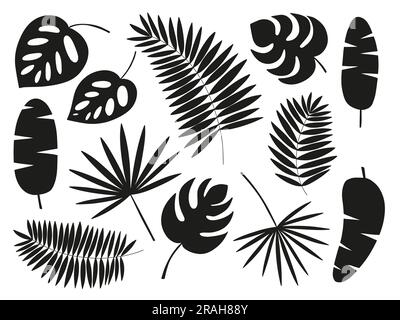 Tropische exotische Pflanzen bilden sich Stock Vektor