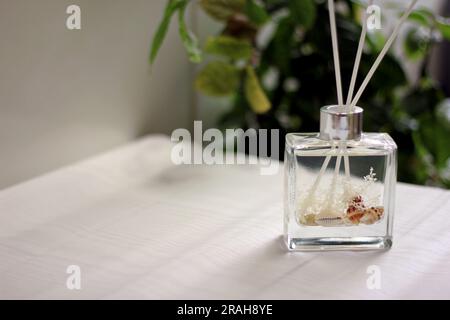 Klarglasdiffusor mit Meeresschalen und Baumwollduft Stockfoto