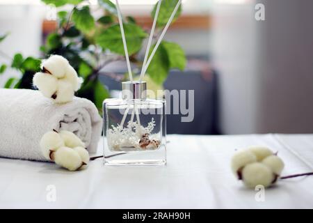 Klarglasdiffusor mit Meeresschalen und Baumwollduft Stockfoto