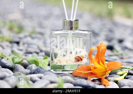 Klarglasdiffusor mit Meeresschalen und Baumwollduft Stockfoto