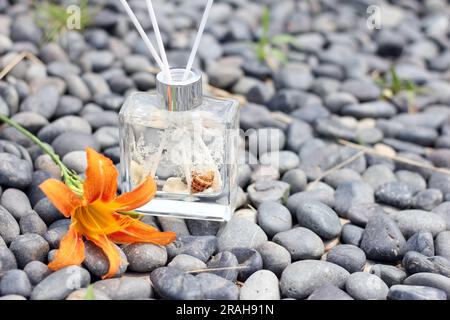 Klarglasdiffusor mit Meeresschalen und Baumwollduft Stockfoto