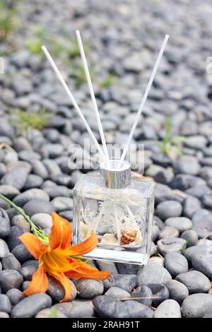 Klarglasdiffusor mit Meeresschalen und Baumwollduft Stockfoto