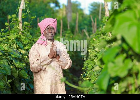 Indische Landwirtschaft, glücklicher indischer Bauer, der dich begrüßt, indischer Bauer, der namensvolle Hände zeigt Stockfoto