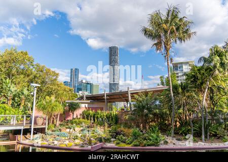 Blick auf Brisbane CBD vom Roma Street Parkland Stockfoto