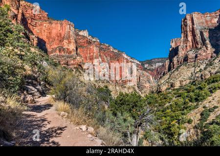 Steile Mauern über dem North Kaibab Trail im Roaring Springs Canyon, unterhalb des Nordrands, Grand Canyon-Nationalpark, Arizona, USA Stockfoto