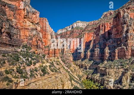 Roaring Springs Canyon, unterhalb des Nordrands, wandert weit weg auf dem North Kaibab Trail, Grand Canyon National Park, Arizona, USA Stockfoto