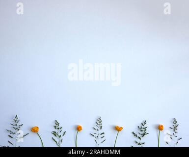 Grafisches Anzeigemuster mit grünem Gras und gelben Butterblumen entlang der unteren Seite eines horizontalen Bildes vor einem grauen Hintergrund. Stockfoto