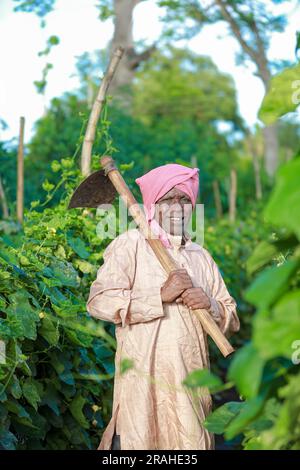 Indische Landwirtschaft glücklicher Bauer mit Schweinebank auf der Farm, armer Bauer, Bauer rettet, Bauer zeigt Ausstellungsstücke Stockfoto