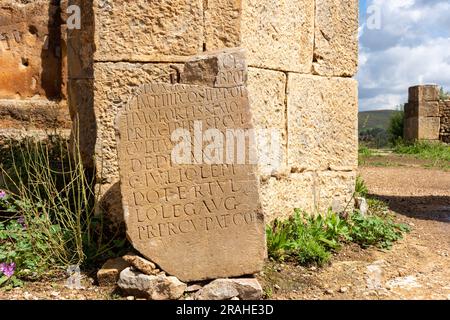Stein mit einer Inschrift in lateinischer Schrift in der antiken Stadt Cuicul. UNESCO-Weltkulturerbe. Stockfoto