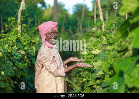 Indischer Bauernhof ein glücklicher indischer Bauer, der auf dem Bauernhof steht und leere Hände sät Stockfoto