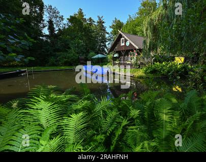 04. Juli 2023, Brandenburg, Lübben: Die Morgensonne scheint auf ein kleines Holzhaus am Hafen der Stadt Lübben im Spreewald. Ein Spreewaldkahn ist immer noch mit einer blauen Plane bedeckt. Am Dienstag erwarten die Menschen in Berlin und Brandenburg Wind und Wolken. Nach Angaben des Deutschen Wetterdienstes (DWD) beginnt der Tag bewölkt, im Norden Brandenburgs anfangs noch sehr bewölkt. Tagsüber bleibt er größtenteils trocken, zwischen Prignitz und Uckermark findet gegen Mittag ein individueller Schauer statt. Außerdem gibt es lokale Windböen, laut DWD gibt es eine kleine Chance Stockfoto