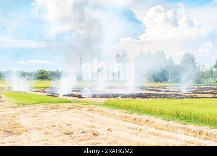 Landwirte, die landwirtschaftliche Abfälle verbrennen, verursachen Smog und Verschmutzung. Rauch, der bei der Verbrennung von Heu und Reistroh auf landwirtschaftlichen Feldern entsteht. Stockfoto