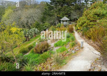 Der Aussichtsturm in den Tremenheere Sculpture Gardens in der Nähe von Penzance, Cornwall, England, Großbritannien Stockfoto