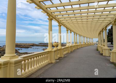 Wunderschöne Pergola an der Promenade von Foz in Porto Portugal am Meer Stockfoto