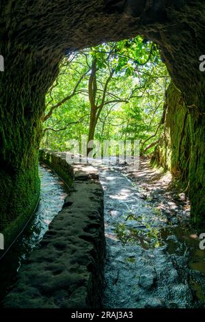 Wanderweg in einem Tunnel entlang Levada Caldeirao Verde (Bewässerungskanal) auf der Insel Madeira, Portugal Stockfoto