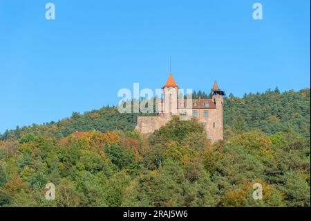 Landschaft mit Blick auf Burg Berwartstein, Erlenbach, Pfalz, Rheinland-Pfalz, Deutschland, Europa Stockfoto