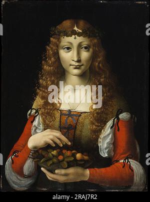 Mädchen mit Kirschen (auch Giovanni Ambrogio de Predis zugeschrieben) 1495 von Giovanni Antonio Boltraffio Stockfoto