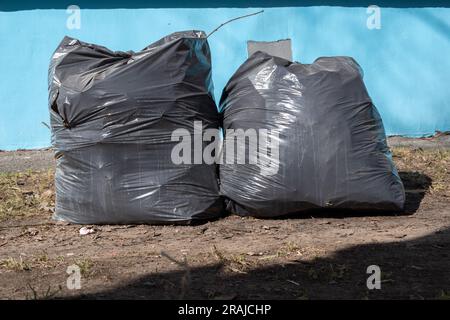 Zwei schwarze Plastiktüten gefüllt mit Müll auf dem Hintergrund der blauen Wand des Hauses, Straßenreinigung. Stockfoto