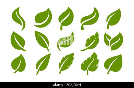Satz einfacher, flacher organischer Blattschablone. Grüne, natürliche Leaf-Symbolgruppe. Stock Vektor