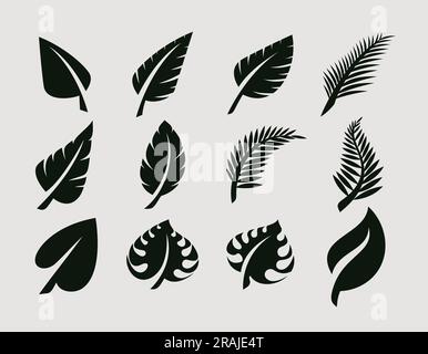 Silhouette der organischen Blattdesign-Vorlage. Natürliches Eco Leaf und Palm Icon Set. Stock Vektor