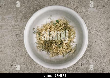 Getrocknete Blumensträuße, schwarzer Holunder. Sambucus nigra. Stockfoto