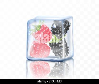 Frische reife Himbeeren und Brombeeren in großen Eiswürfeln isoliert auf transparentem Hintergrund. Gefrorene Beeren, realistische 3D-Vektordarstellung Stock Vektor