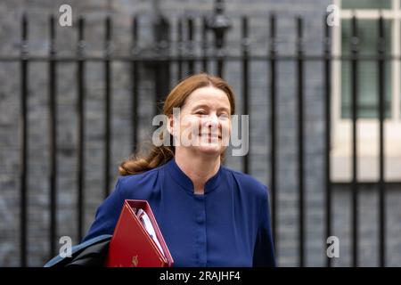 London, Großbritannien. 04. Juli 2023. Gillian Keegan, Bildungsminister, bei einer Kabinettssitzung in der Downing Street 10 London. Kredit: Ian Davidson/Alamy Live News Stockfoto