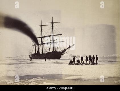 Jagen mit Dampf in Melville Bay 1869 von William Bradford Stockfoto