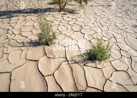 Dürre in Afrika in einem Fluss. Dramatisch zerrissene Schlammerde in einem trockenen Flussbett in Afrika. Swakop River, Namibia, Afrika Stockfoto