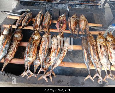 Fufu-Fische sind echter Bonito oder großer Thunfisch, der geräuchert wird. Der Rauch kommt von brennenden Kokosnussschalen, bis das Fleisch gekocht ist. Stockfoto