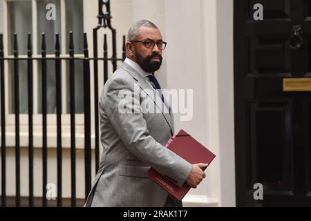 London, England, Großbritannien. 4. Juli 2023. JAMES CLEVER, Außenminister, kommt in der Downing Street 10 zur wöchentlichen Kabinettssitzung. (Kreditbild: © Thomas Krych/ZUMA Press Wire) NUR REDAKTIONELLE VERWENDUNG! Nicht für den kommerziellen GEBRAUCH! Stockfoto