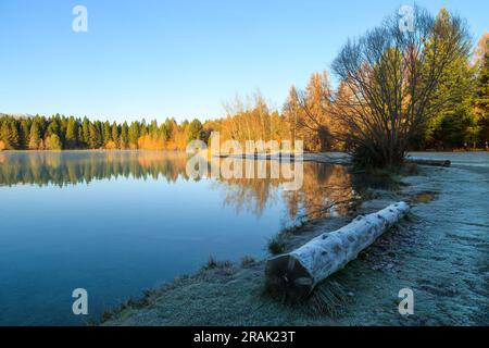 Das frostige Ufer eines Sees im Spätherbst, mit Herbstlaub im kalten Wasser. Lake Ruitaniwha, Twizel, Neuseeland Stockfoto