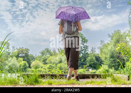 Rückansicht einer Frau, die an einem sonnigen Tag eine Sonnenbank hält, vor einem Pool steht. Stockfoto