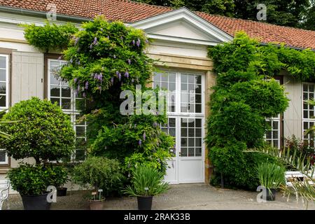 orangerie im Botanischen Garten der Universität Münster, Nordrhein-Westfalen. Orangerie im Botanischen Garten der Westfae Stockfoto
