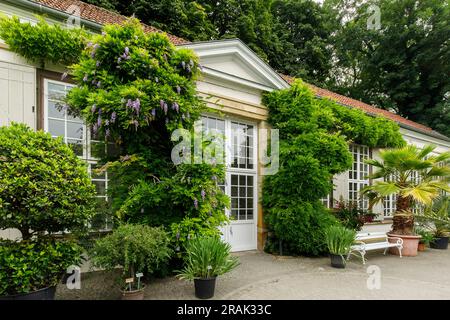 orangerie im Botanischen Garten der Universität Münster, Nordrhein-Westfalen. Orangerie im Botanischen Garten der Westfae Stockfoto