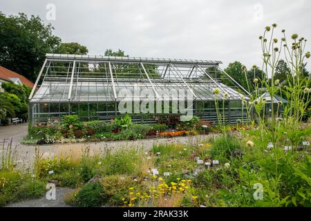 Gewächshaus im Botanischen Garten der Universität Münster, Münster, Nordrhein-Westfalen. Gewaechshaus im Botanischen Garten der We Stockfoto
