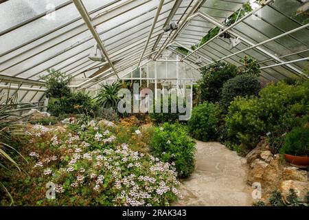 Gewächshaus im Botanischen Garten der Universität Münster, Münster, Nordrhein-Westfalen. Gewaechshaus im Botanischen Garten der We Stockfoto