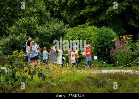 Kinder im Botanischen Garten der Universität Münster, Münster, Nordrhein-Westfalen. Kinder im Botanischen Garten der Westfaelis Stockfoto
