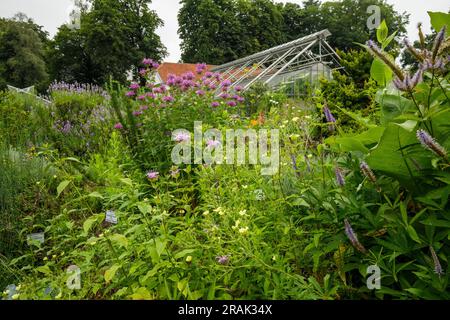 Botanischer Garten der Universität Münster, Münster, Nordrhein-Westfalen, Deutschland. Botanischer Garten der Westfaelischen Wilhelms-Universitaet Stockfoto