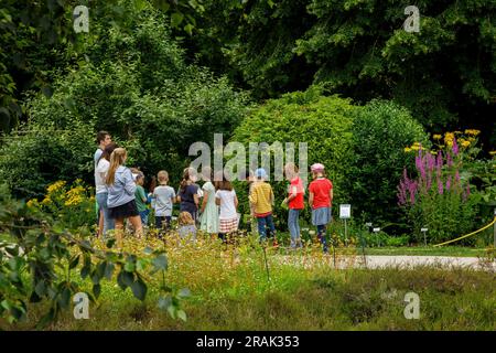 Kinder im Botanischen Garten der Universität Münster, Münster, Nordrhein-Westfalen. Kinder im Botanischen Garten der Westfaelis Stockfoto