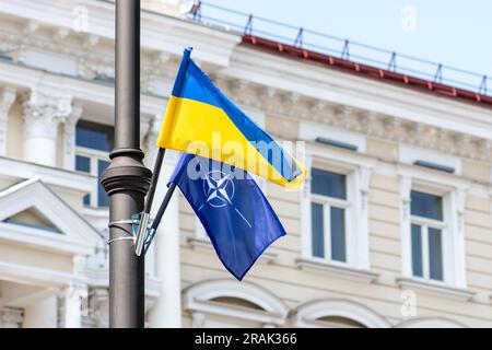 Flaggen der NATO und der Ukraine während des NATO-Gipfels 2023 im Zentrum von Vilnius, Europa Stockfoto