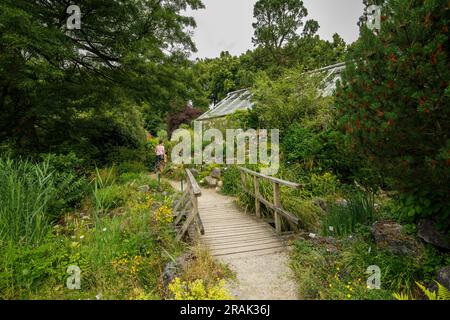 Botanischer Garten der Universität Münster, Münster, Nordrhein-Westfalen, Deutschland. Botanischer Garten der Westfaelischen Wilhelms-Universitaet Stockfoto