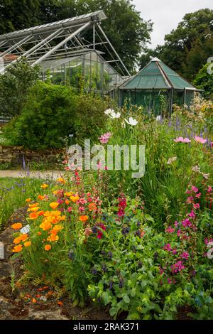 Botanischer Garten der Universität Münster, Münster, Nordrhein-Westfalen, Deutschland. Botanischer Garten der Westfaelischen Wilhelms-Universitaet Stockfoto