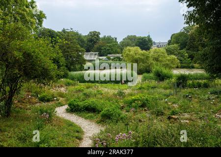Botanischer Garten der Universität Münster, Münster, Nordrhein-Westfalen, Deutschland. Botanischer Garten der Westfaelischen Wilhelms-Universitaet Stockfoto