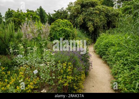 Botanischer Garten der Universität Münster, Münster, Nordrhein-Westfalen, Deutschland. Botanischer Garten der Westfaelischen Wilhelms-Universitaet Stockfoto