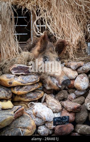 Ein Wurstladen auf einem Markt im Chinon Loire-Tal, Frankreich, mit dem Kopf eines Wildschweins und Fleisch zum Verkauf. Stockfoto