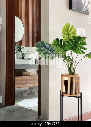 Blick vom Wohnzimmer auf die Innenausstattung des Badezimmers mit Spiegel, Wasserhahn und Waschbecken Stockfoto