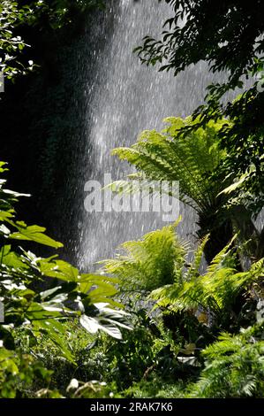 Jardin Extraordinaire, ein Garten in Nantes, Frankreich mit Wasserfall, Felsen und üppiger Vegetation. Stockfoto