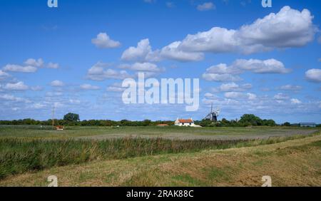 Polkeys Mühle und über das Schilf an einem Sommertag. Stockfoto