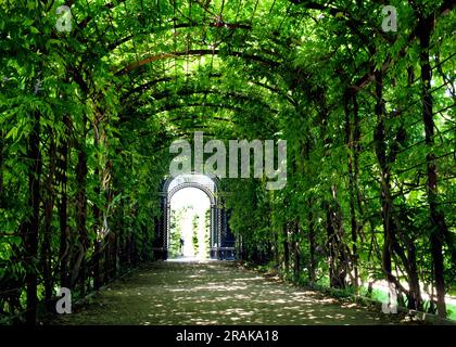 Bogengang in sanften Grün-, Gelb- und Brauntönen. Schotterweg im historischen Garten in Wien, Österreich, im berühmten öffentlichen Park. Metallrahmen Stockfoto